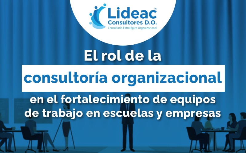 el rol de la consultoría organizacional